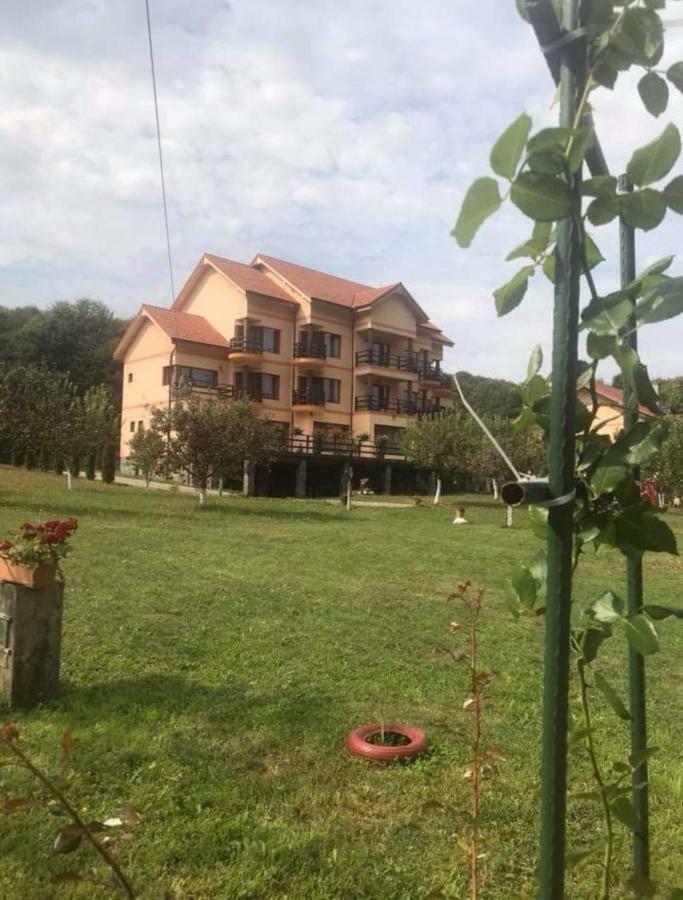 Pensiunea " La Papa" Huta Certeze エクステリア 写真